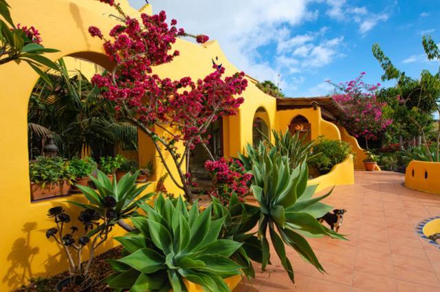Luna - Finca Manana Los Llanos De Aridane Exteriör bild